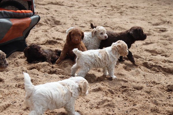 Mensch und Hund in Ruhephase