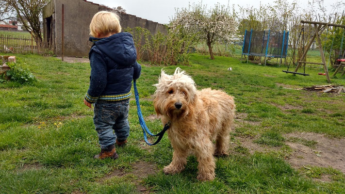 Cover Beispielausgabe