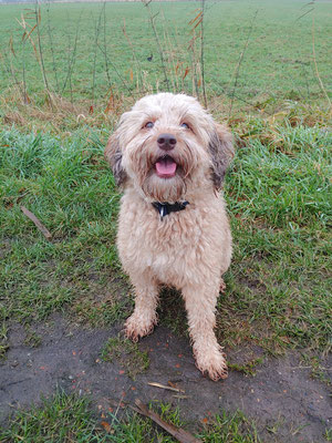 Rueckruf klappt nicht