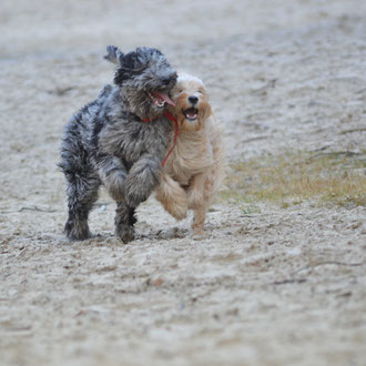 Video Kurse und Ratgeber bei NANIES